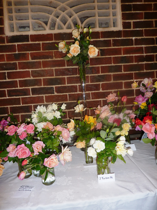 rose-display-5